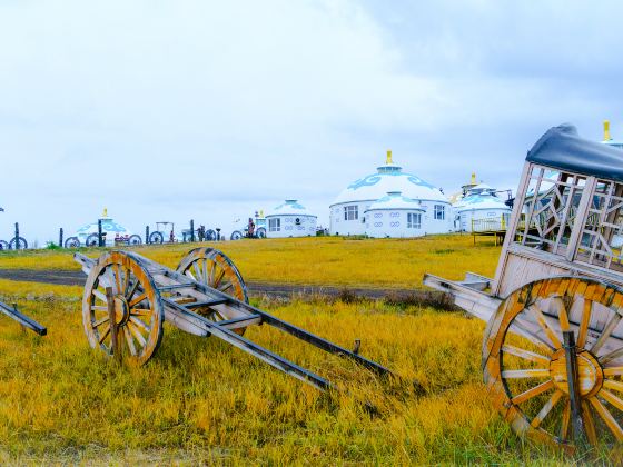 Tiemu Zhenda Hanhangying