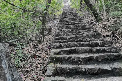 杨小贤(黎塘镇中店)
