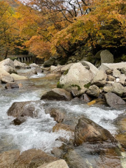 黑熊溝