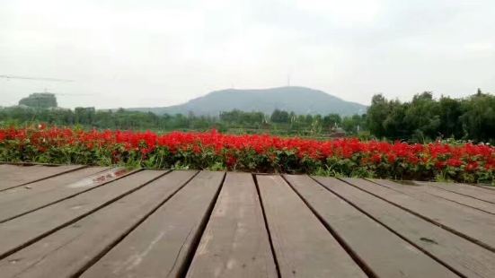 四季花海位於皖山路與長江西路交口，距離大蜀山和蜀山森林公園都