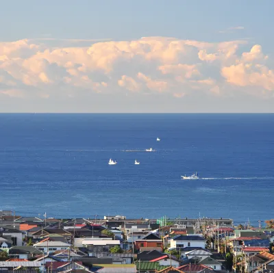 Saga to Hobart Flights