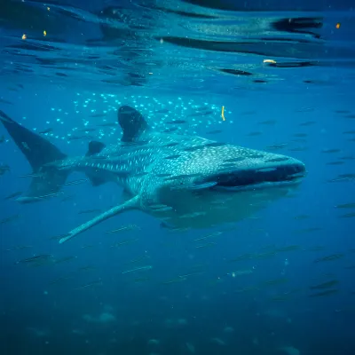 Хоумстей в г. Генерал-Сантос