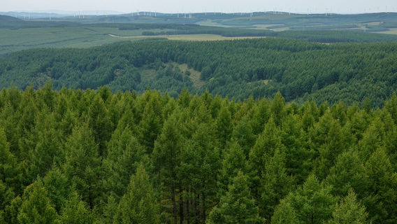 sai han ba ji xie lin chang ( zong chang zhi an pai chu suo )