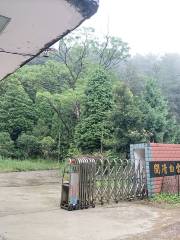 Yunshan State-owned Forest Farm