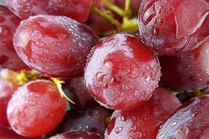 鲜丰水果 (御香山店)