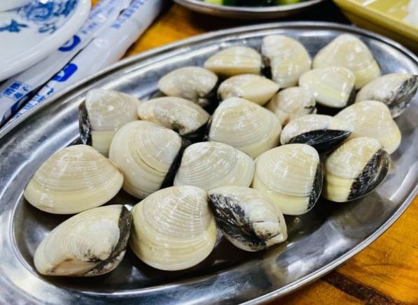 白贝