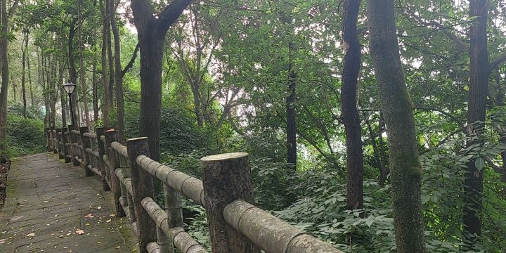 Yin Mountain Park