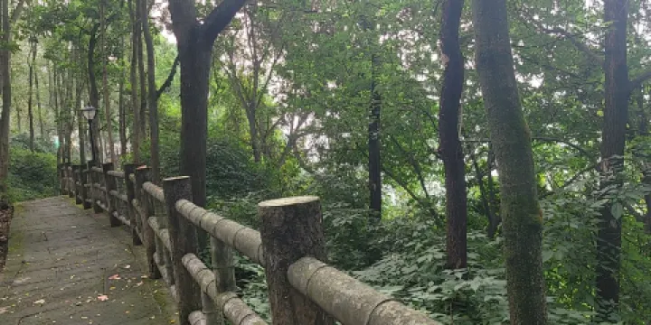 印山公園
