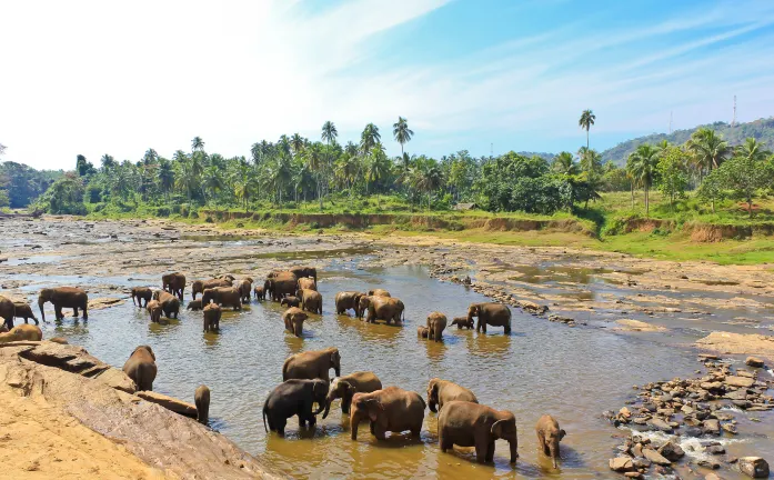 鄰近Udawalawe Jeep Safari的酒店