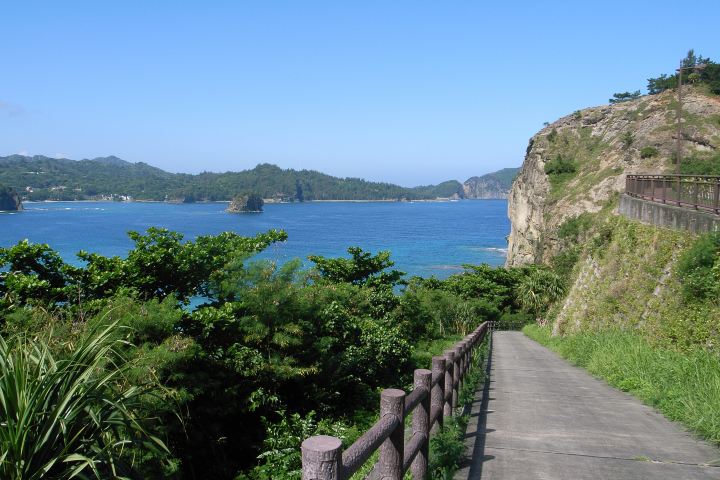 13位 小笠原諸島|独自の生態系が残る東京の秘境