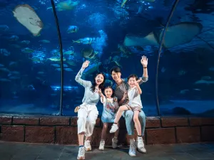 Hang Zhou Chang Qiao Polar Ocean Park