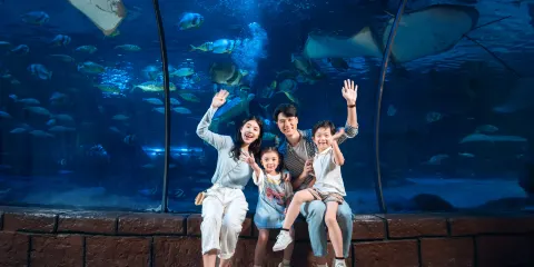杭州長喬極地海洋公園