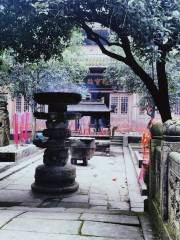 Gaoming Temple (qianniangucha)