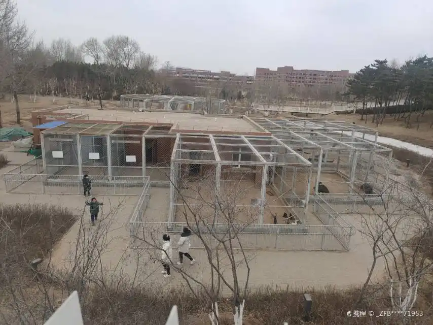 차오베이 동물원 주변 호텔