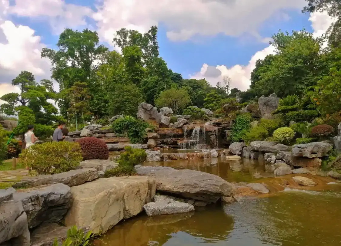 Hotels near Interest Botanical Garden