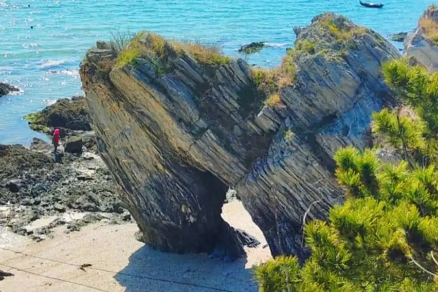 恐龍探海景區