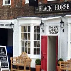 Black Horse