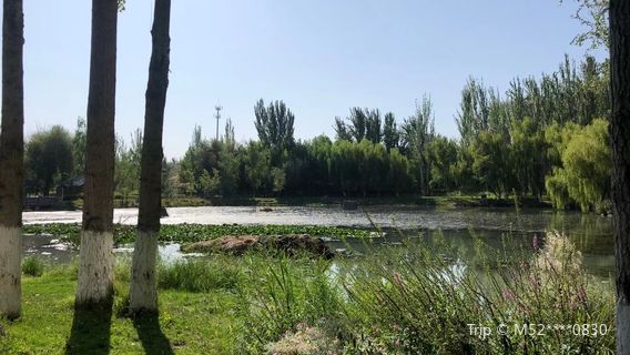 Yining