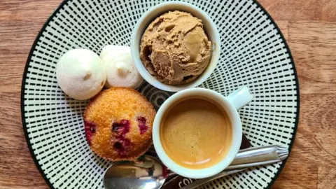 Les Oies Sauvages Lyon in Lione