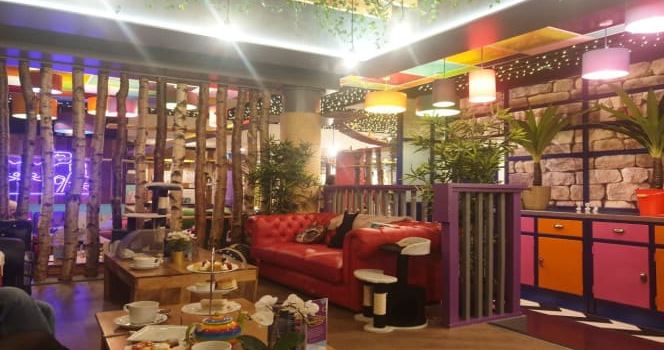 Kitty Cafe Birmingham