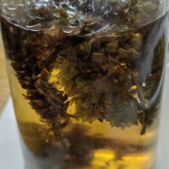 NI WAN XI YU GUAN 여행 사진