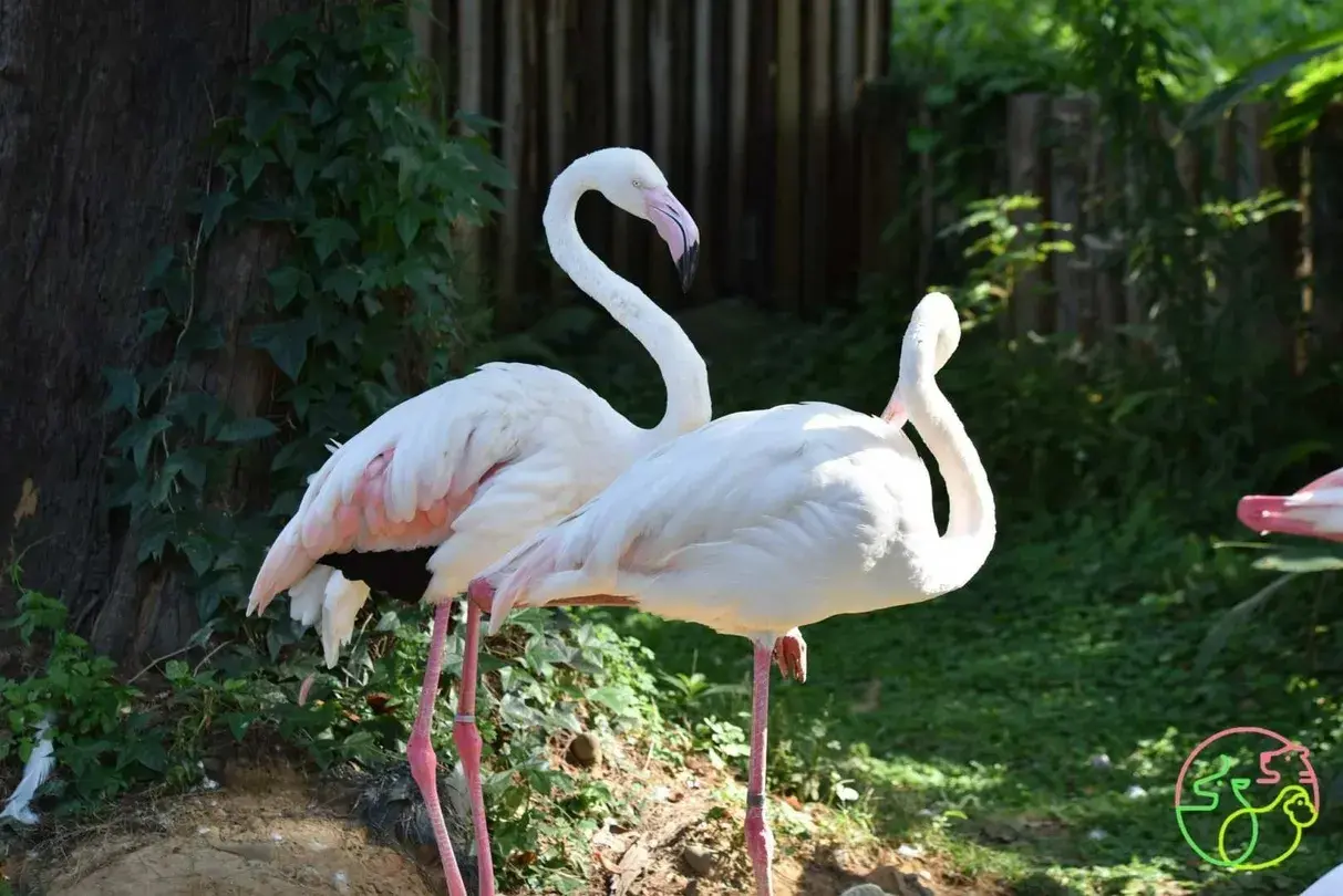 2_新竹市立動物園