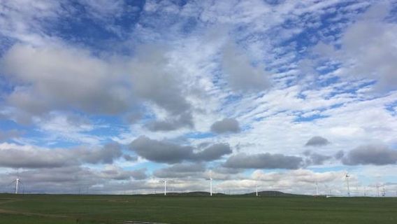 Baiyun Ebo Grassland