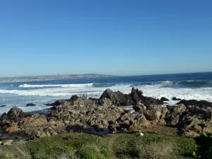 Playa Grande Las Cruces