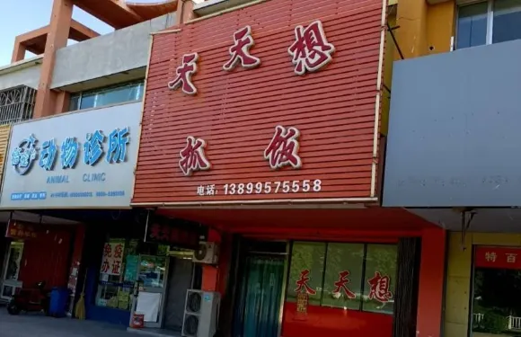 天天想抓飯