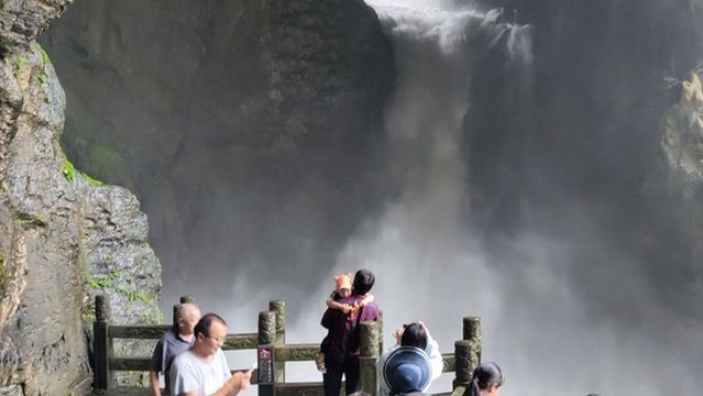 Wall of Roaring Dragons and Tigers