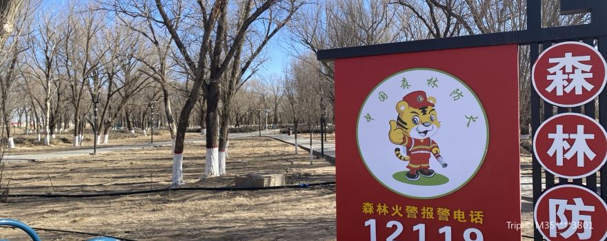 馬蓮灘沙漠公園