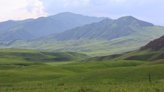 Wild Wolf Valley