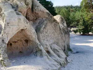 Sandhöhlen im Heers HWN 81