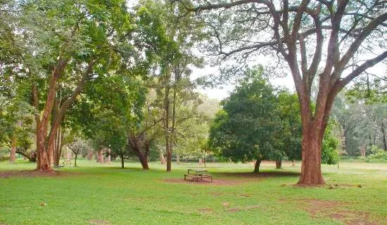 The Nairobi Arboretum