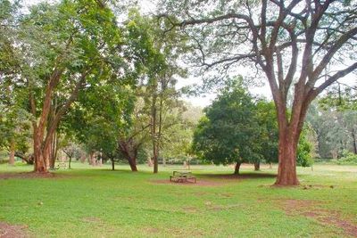The Nairobi Arboretum