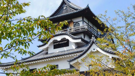 Inuyama Castle Town Showa Alley