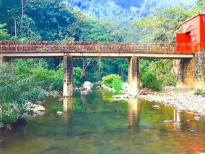 Huayudong National Forest Park