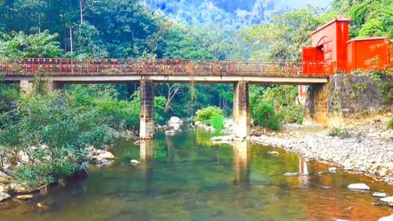 Huayudong National Forest Park