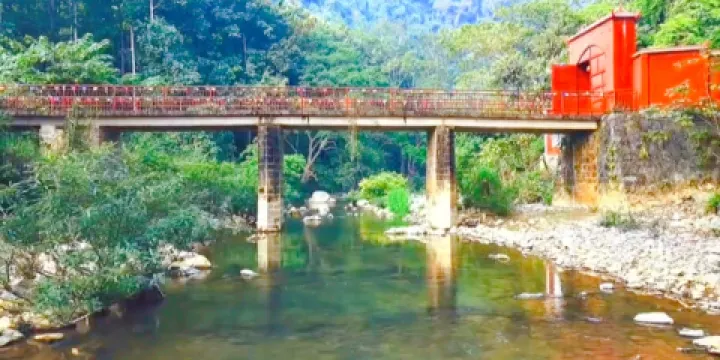 花魚洞國家森林公園