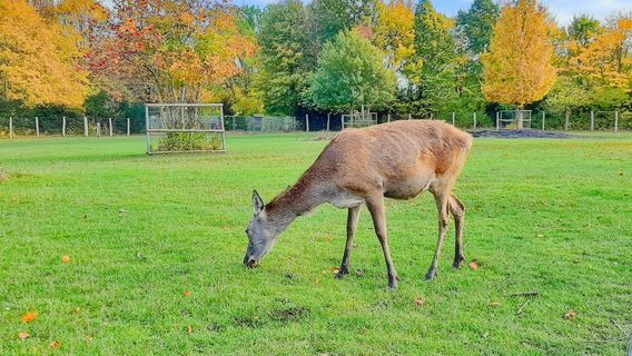 Wismar Zoo