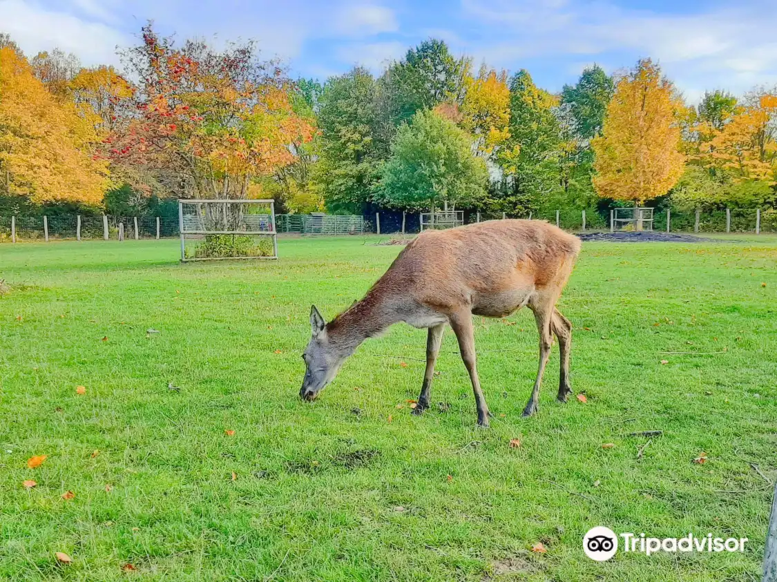 Tierpark Wismar 주변 호텔