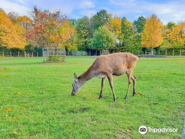 Wismar Zoo