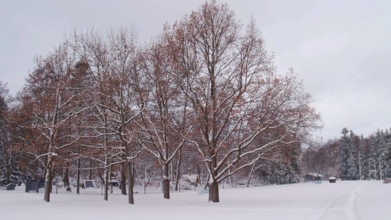 Kupittaa Park
