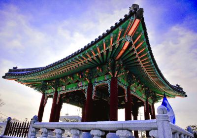 Paju