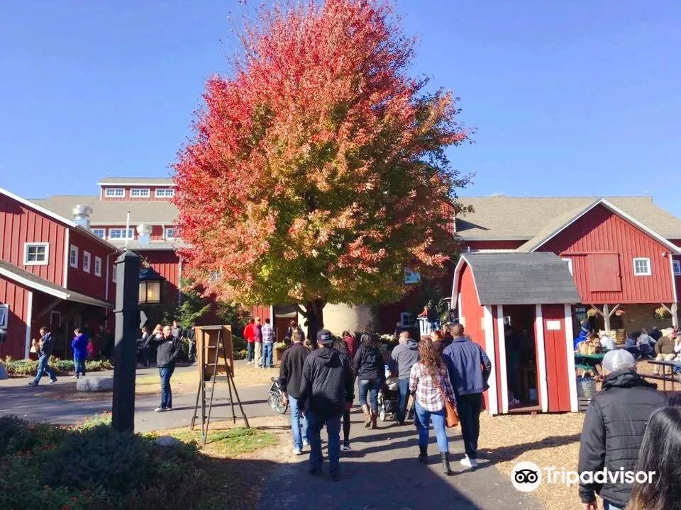 2_Edwards Apple Orchard