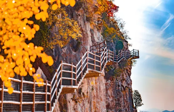 齊魯第一大佛青銅山大峽谷門票 + 玻璃吊橋 + 玻璃滑道成人