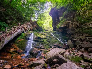 Wunüfeng National Forest Park