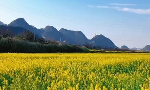 Fenglin Buyi Scenic Area