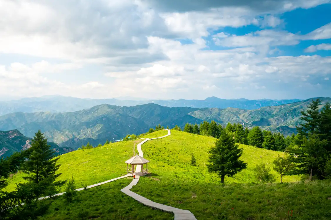 Hotels near Wuyue Village