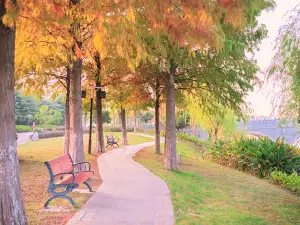 Popular Fall Viewing Attractions in Pinghu